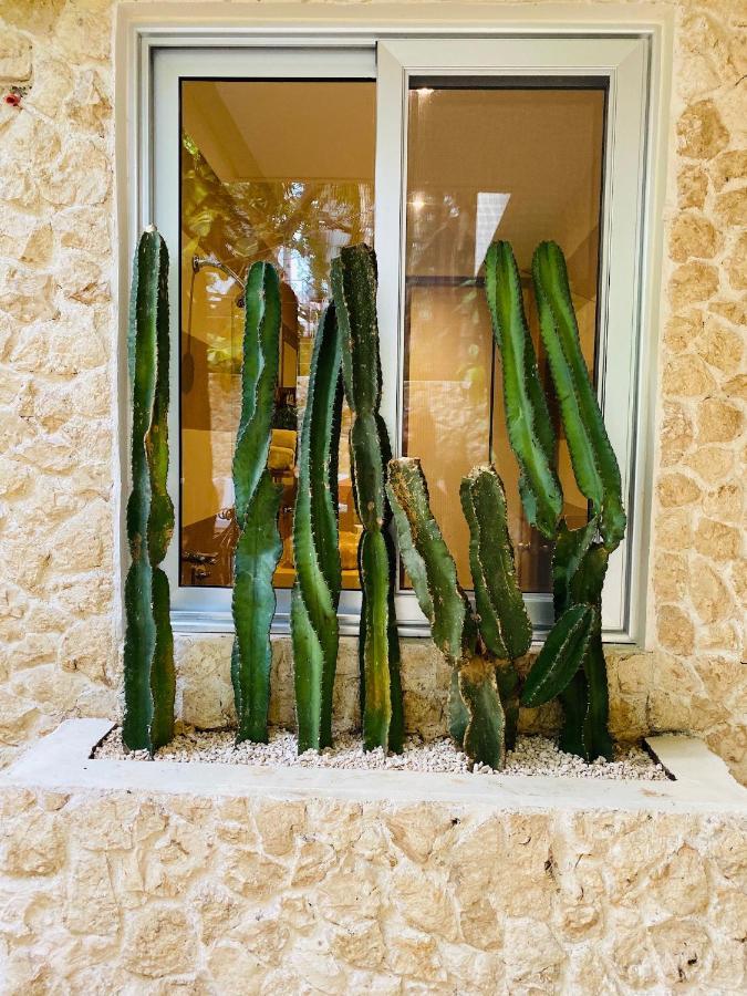 Casarte Boutique Hotel بلايا ديل كارمن المظهر الخارجي الصورة